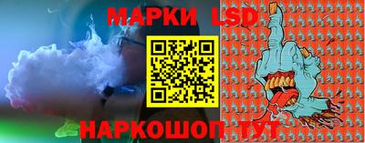 индика Новозыбков
