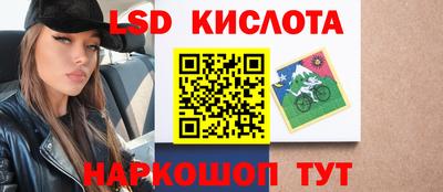 стафф Новодвинск