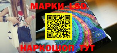 стафф Новодвинск