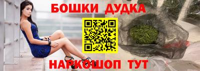 индика Новозыбков