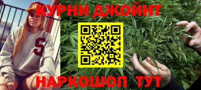 индика Новозыбков