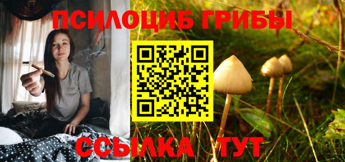 Псилоцибиновые грибы мицелий Таганрог